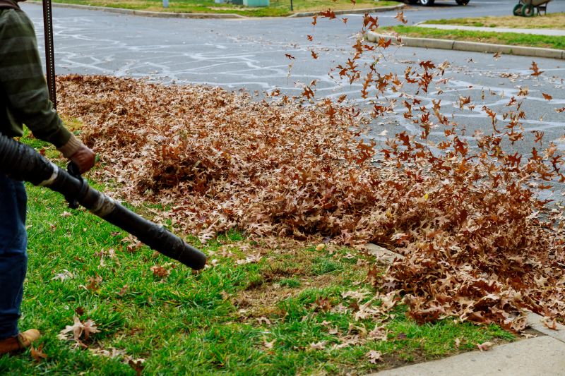 Leaf Blowing for Clearing Pathways
