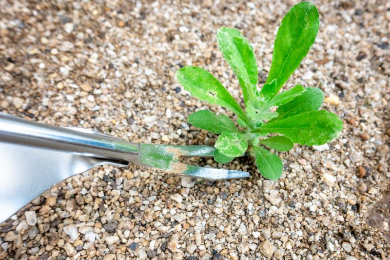 Removal Equipment in Action