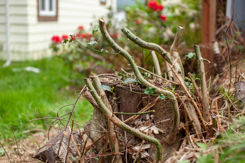 Property Before Removal